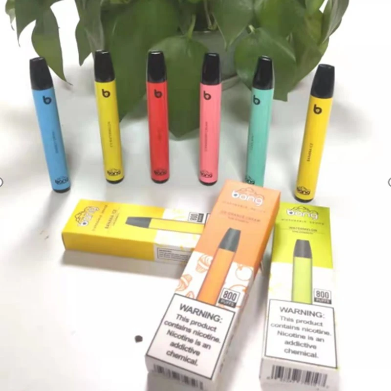 Bang Mini 800 Puffs Vape d