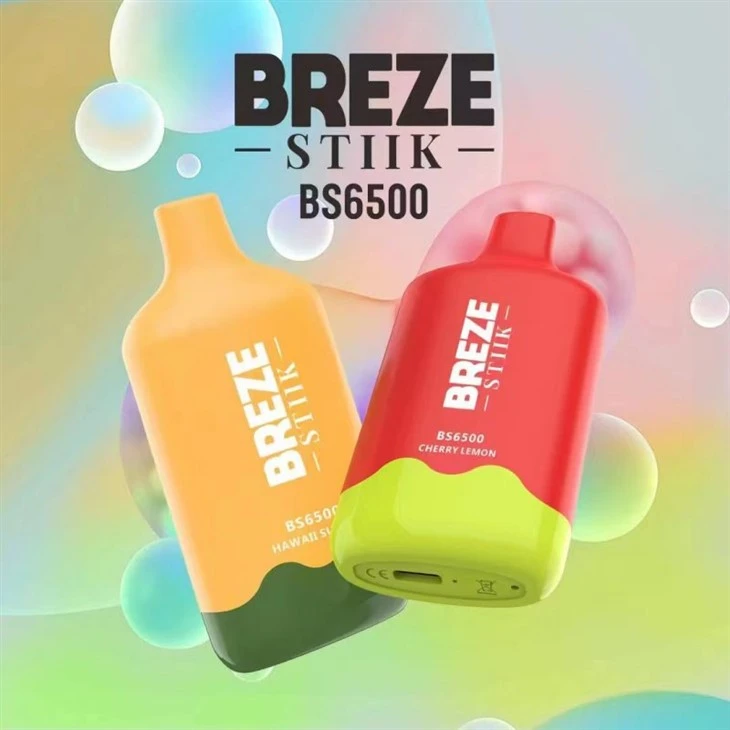 Brisa   Stiik   BS6500