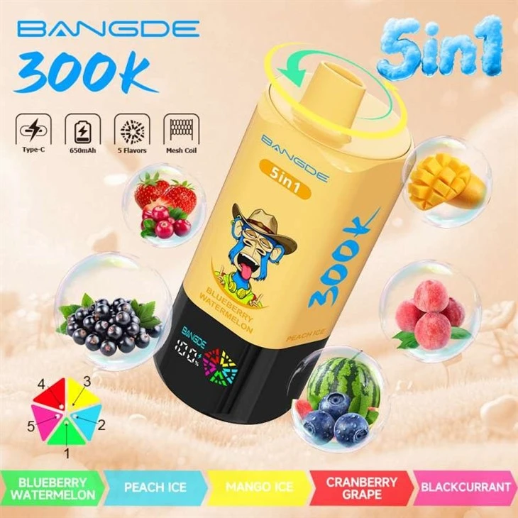 BANG DE 300K 1