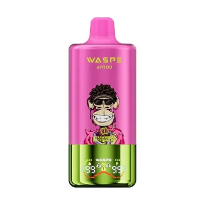 Waspe aiviou 60K 3 en 1